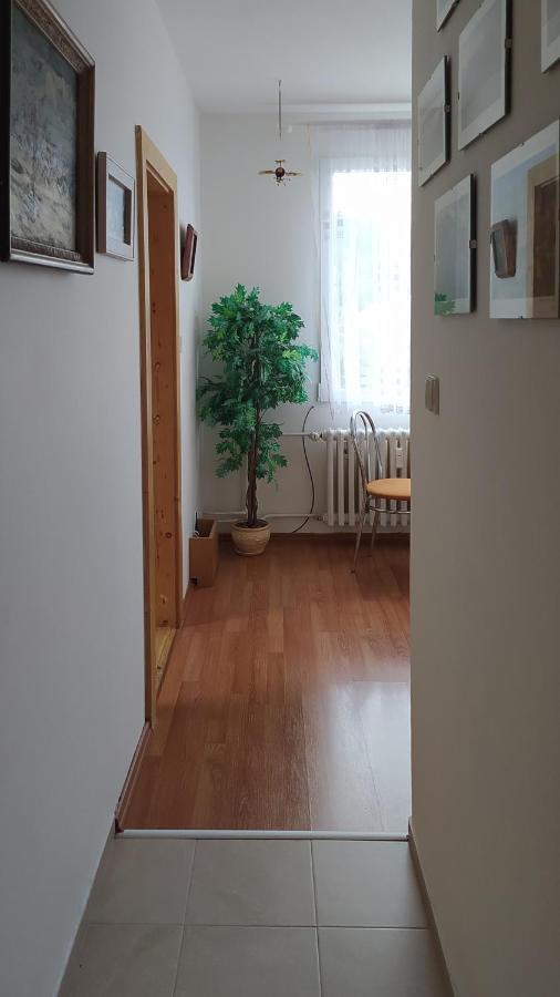 Apartman V 스르니 외부 사진
