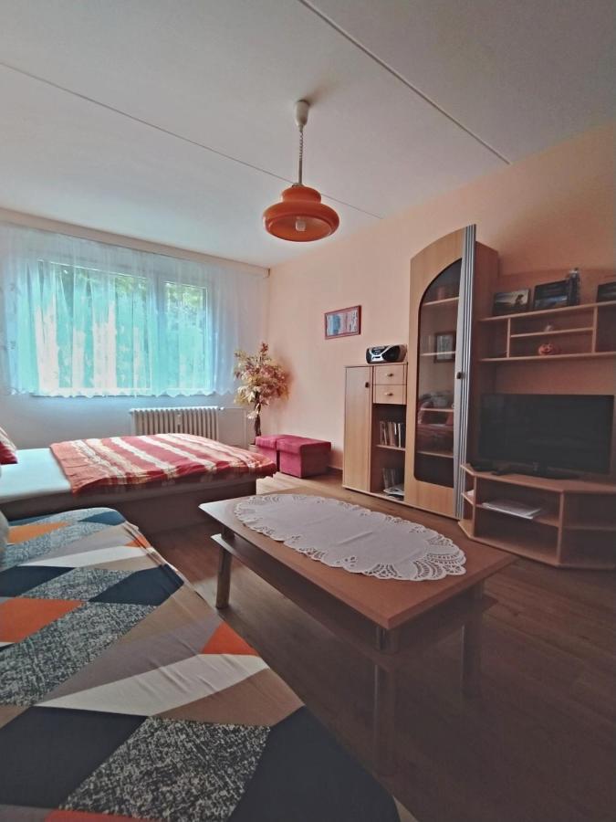 Apartman V 스르니 외부 사진