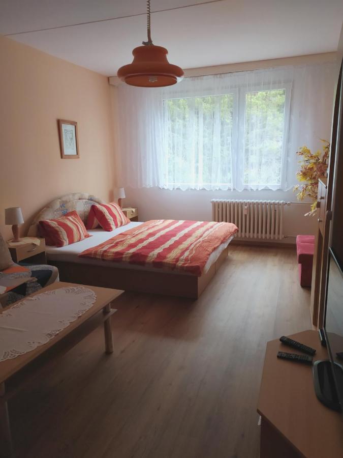 Apartman V 스르니 외부 사진